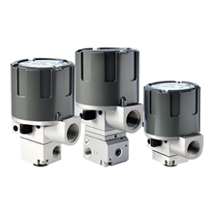 Process Piping Accessories
